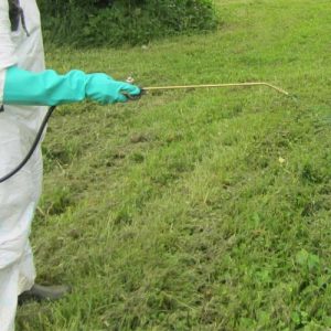 Thuốc diệt cỏ Paraquat có mùi không? giá bao nhiêu tiền?