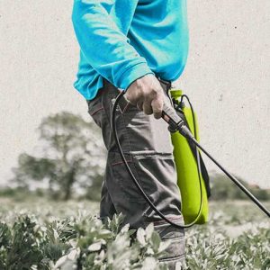 Tác hại của thuốc diệt cỏ đối với con người và cây trồng