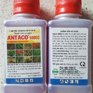 thuoc-diet-co-ANTACO-500EC