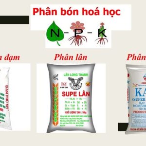 phan-lan-phan-kali-phan-npk-thuoc-nhom-gi