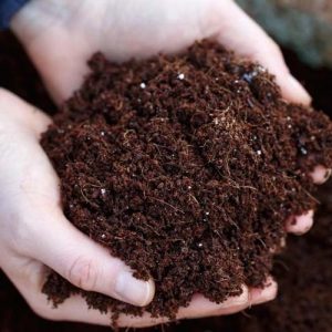 4 tác dụng của phân bón hữu cơ cho đất cực tốt cho cây trồng