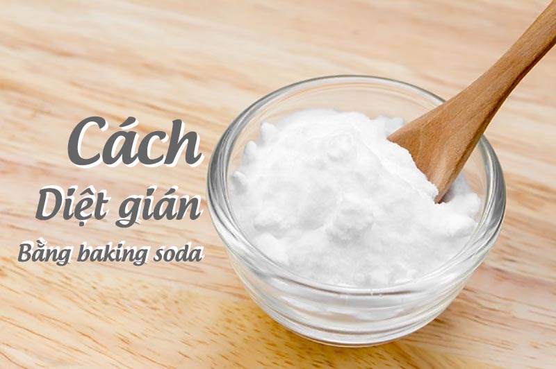 Những lợi ích tuyệt vời khi sử dụng Baking Soda tiêu diệt kiến 