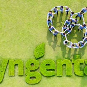 Công ty thuốc bảo vệ thực vật Syngenta là gì, của nước nào?