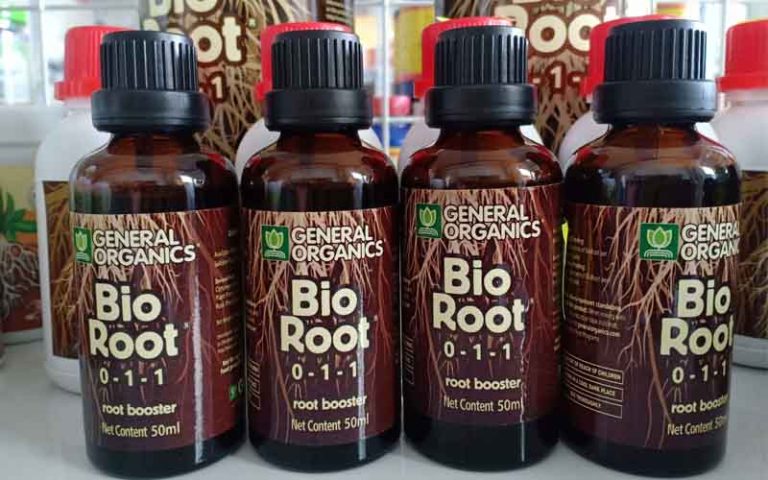 bio-root-l-g-c-ch-s-d-ng-k-ch-r-bio-root-0-1-1-cho-lan