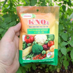 Kali nitrat KNO3 là gì? 4 tác dụng của KNO3 đến cây trồng