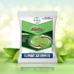Thuốc Aliette 800WG trị bệnh gì? Liều lượng và cách sử dụng - Việt Nông