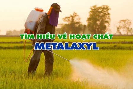 Hoạt chất Metalaxyl là gì?